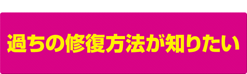 過ちの修復方法が知りたい